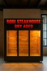 DRY AGED DOLABI TEK KAPILI HİMALAYA TAŞLI 80*80*205