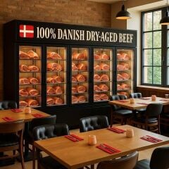 DRY AGED DOLABI TEK KAPILI  HİMALAYA TAŞSIZ 100*80*80*205