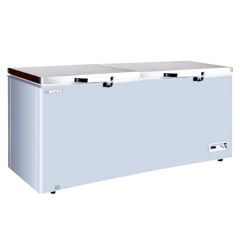 Krom Blok Kapılı Derin Dondurucu 600 L